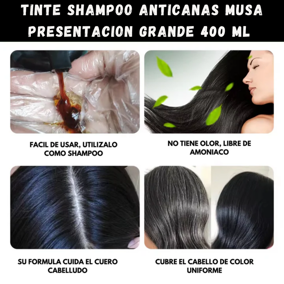 NUEVO TINTE SHAMPOO ANTICANAS MUSA DE 400ML